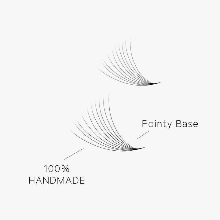 10D LASHBOOK  Promade Mega Volume Fans - 500 Fans