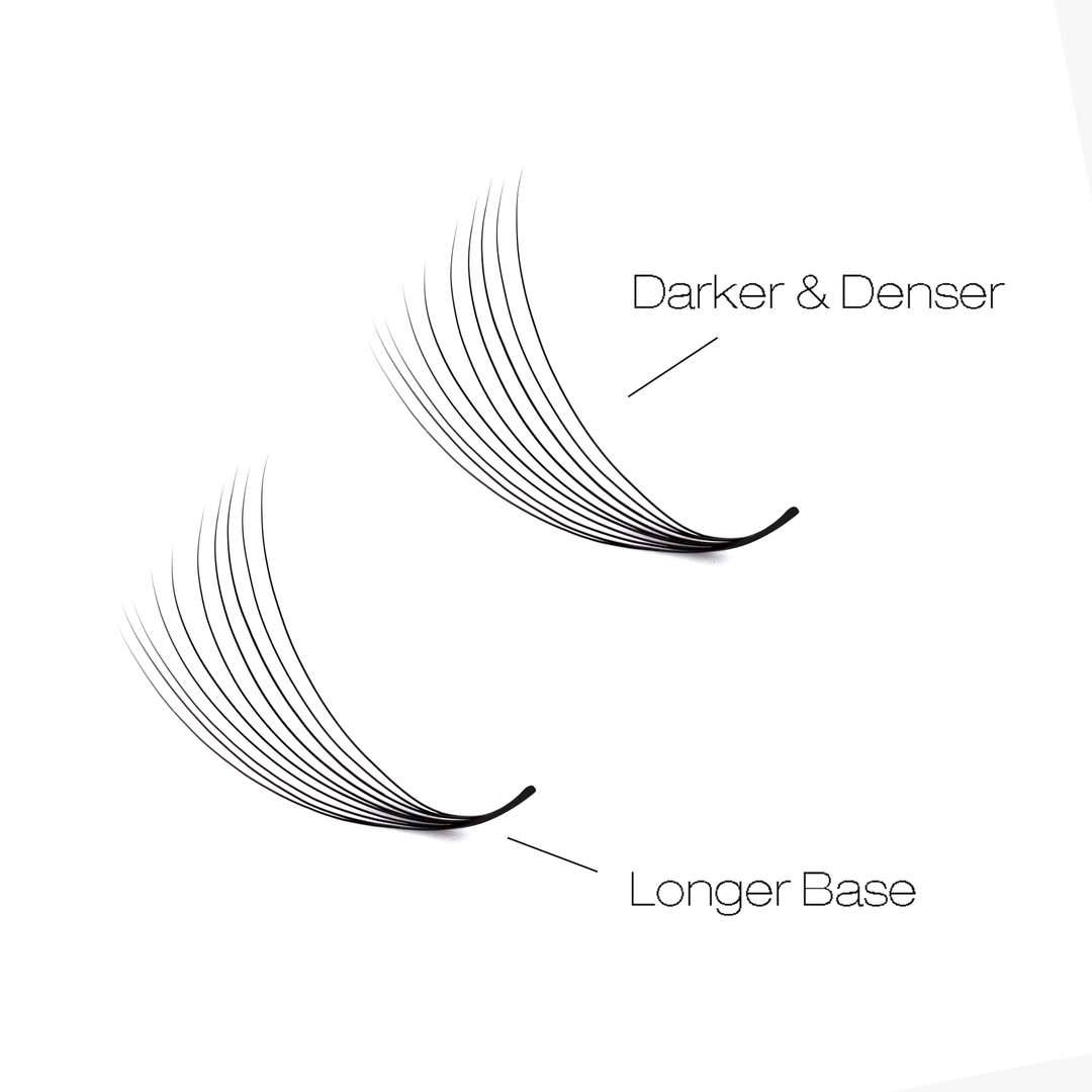 8D LASHBOOK Narrow Promade Volume Fans - 1000 Fans UK