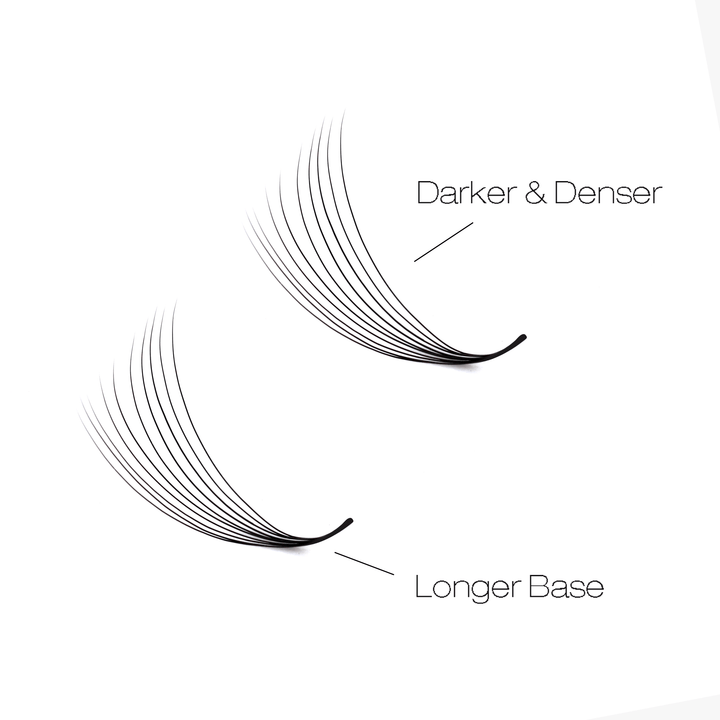 8D LASHBOOK Narrow Promade Volume Fans - 1000 Fans UK